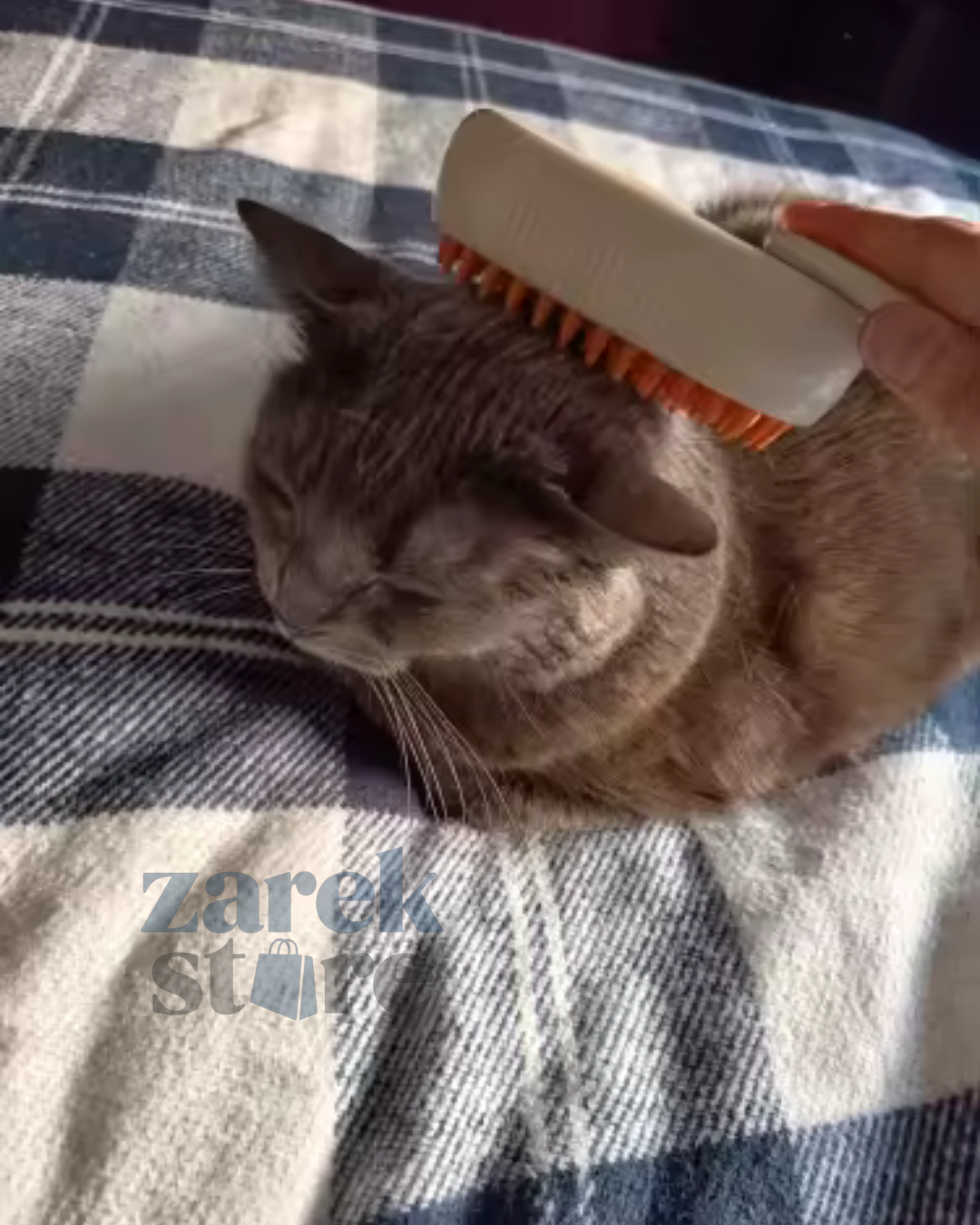 Cepillo de Vapor 3 en 1 para Mascotas